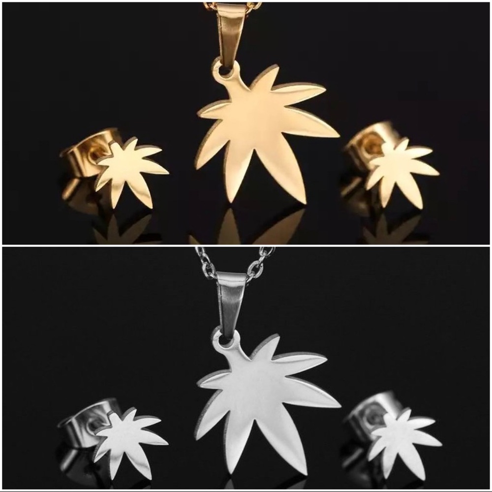 Stainless Steel G/S Necklace Earring Set